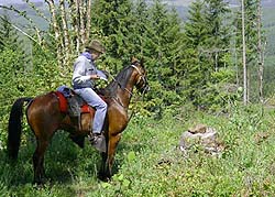 Checking the compass in the woods